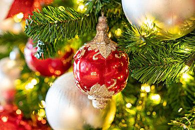 《光环：无限》第二季新活动“精英狼群”今日上线